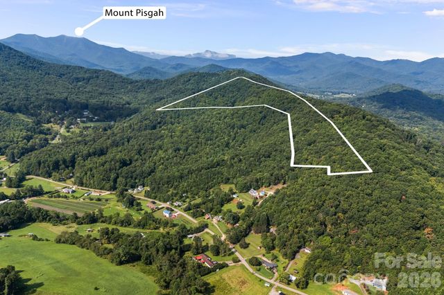 99999 Beaverdam Loop Road, Candler, NC 28715