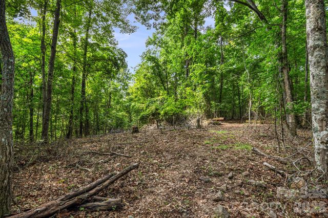 99999 Beaverdam Loop Road, Candler, NC 28715