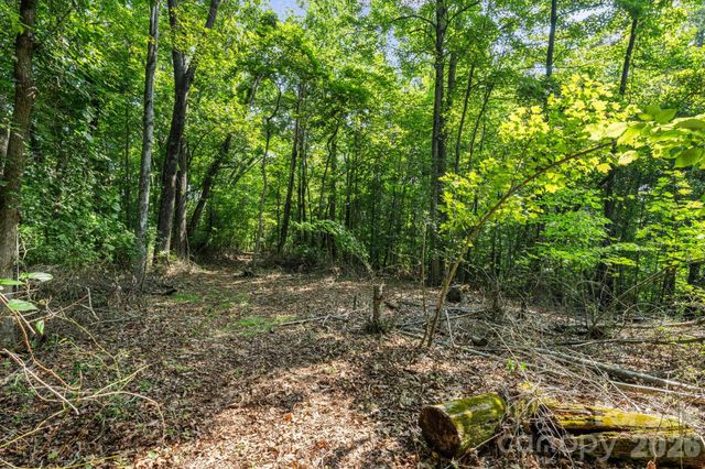 99999 Beaverdam Loop Road, Candler, NC 28715