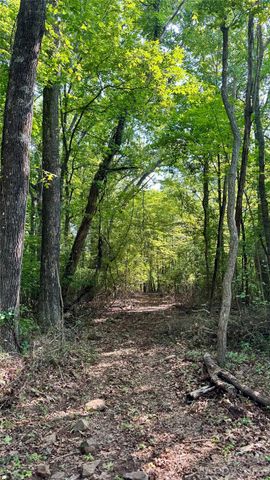 99999 Beaverdam Loop Road, Candler, NC 28715