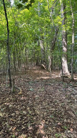 99999 Beaverdam Loop Road, Candler, NC 28715