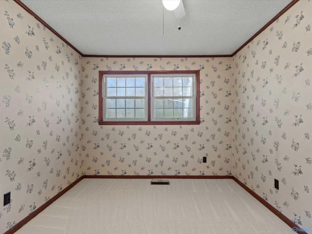 21811 Alabama Highway 99 NW, Elkmont, AL 35620