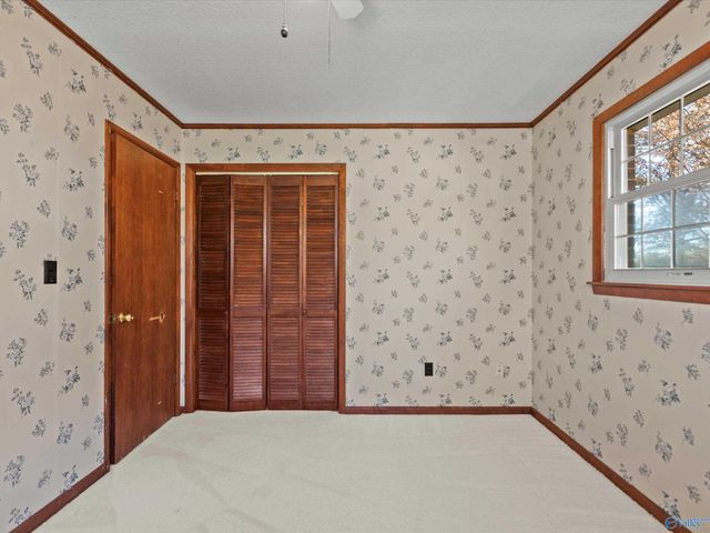 21811 Alabama Highway 99 NW, Elkmont, AL 35620