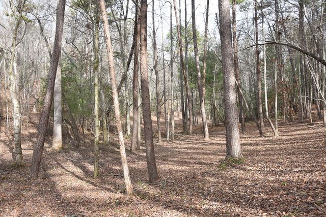 167 Swaims, Hayesville, NC 28904