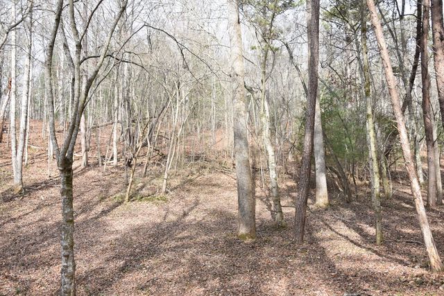 167 Swaims, Hayesville, NC 28904