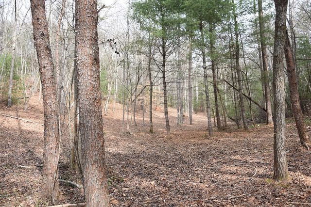 167 Swaims, Hayesville, NC 28904