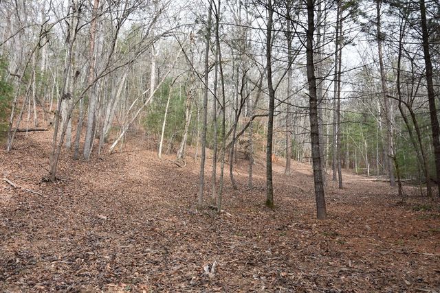 167 Swaims, Hayesville, NC 28904