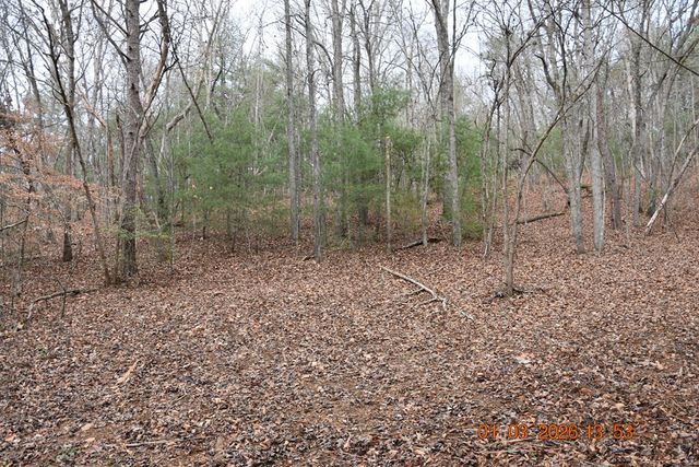 167 Swaims, Hayesville, NC 28904