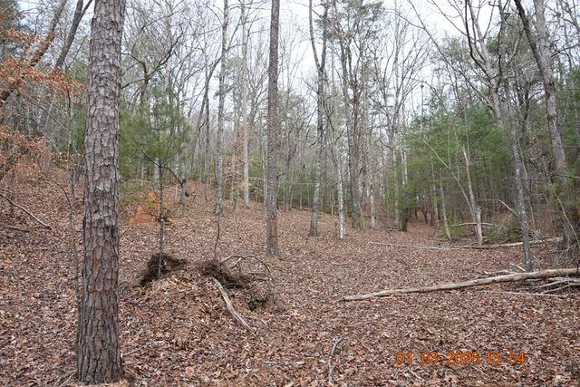 167 Swaims, Hayesville, NC 28904