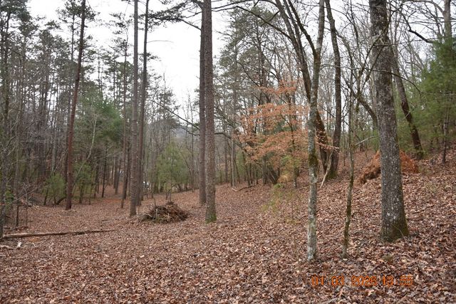 167 Swaims, Hayesville, NC 28904