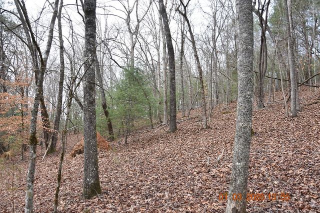 167 Swaims, Hayesville, NC 28904