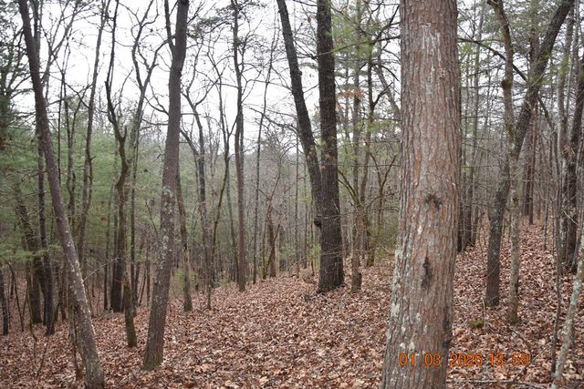 167 Swaims, Hayesville, NC 28904