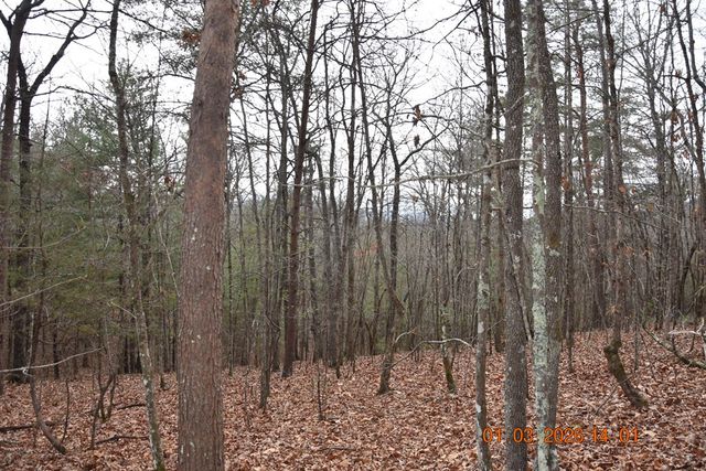 167 Swaims, Hayesville, NC 28904