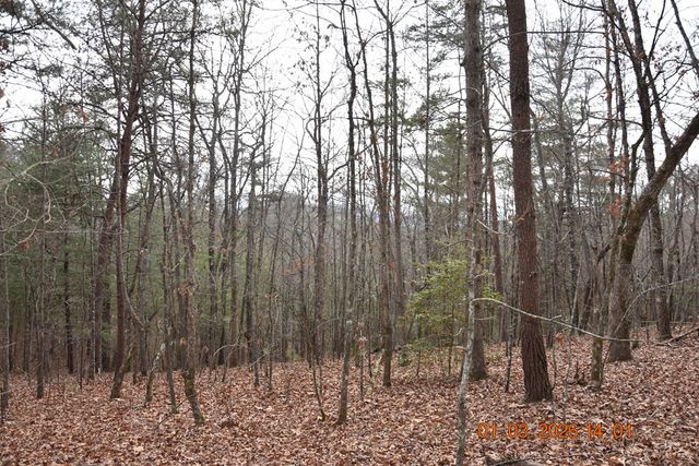 167 Swaims, Hayesville, NC 28904