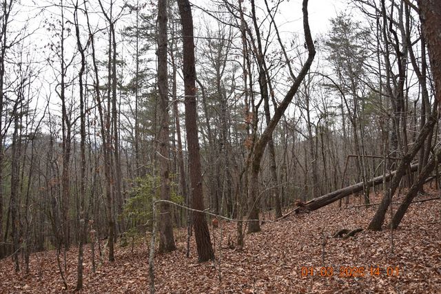 167 Swaims, Hayesville, NC 28904