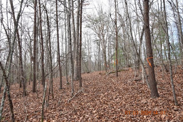 167 Swaims, Hayesville, NC 28904