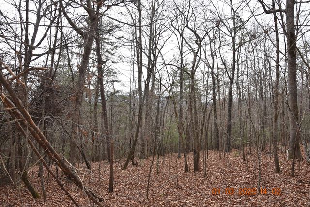167 Swaims, Hayesville, NC 28904