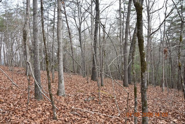 167 Swaims, Hayesville, NC 28904