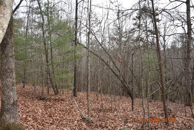 167 Swaims, Hayesville, NC 28904