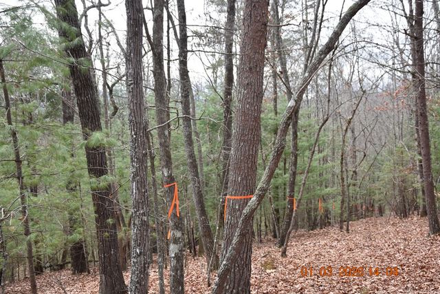 167 Swaims, Hayesville, NC 28904