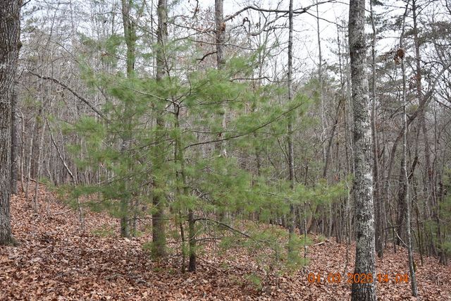 167 Swaims, Hayesville, NC 28904