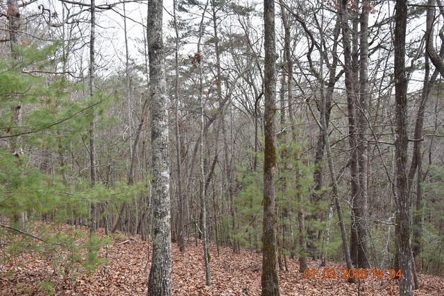 167 Swaims, Hayesville, NC 28904