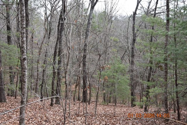 167 Swaims, Hayesville, NC 28904