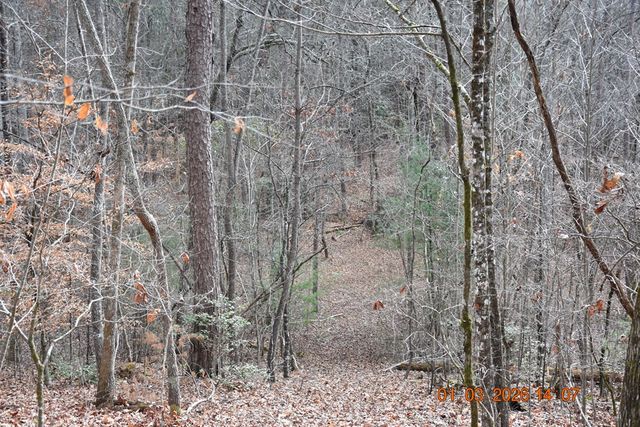 167 Swaims, Hayesville, NC 28904