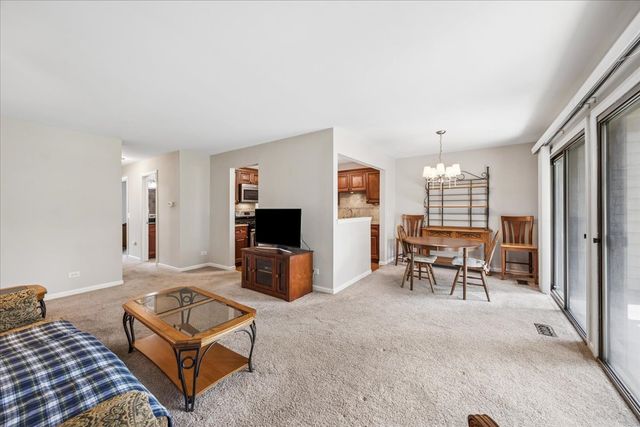 349 Newgate Court C1, Schaumburg, IL 60193