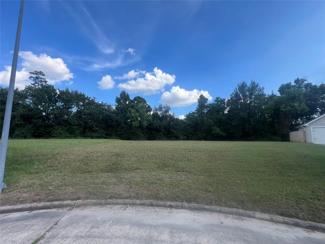 6511 Hoads Deuce Court, Spring, TX 77379