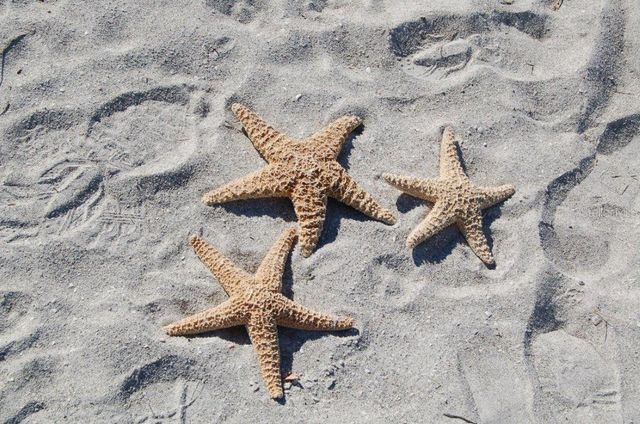 545 SANCTUARY DRIVE B506, Longboat Key, FL 34228