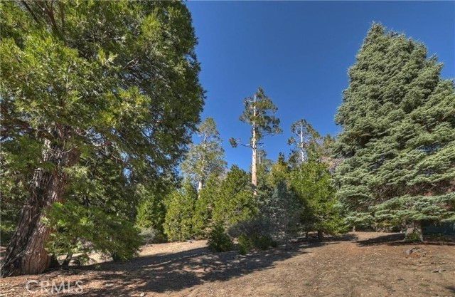 2402 Spring Oak Drive, Running Springs, CA 92382