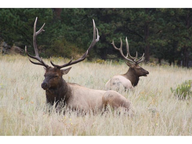 1431 S Saint Vrain Ave B, Estes Park, CO 80517