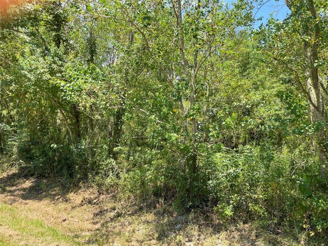 679 County Road 6031, Dayton, TX 77535