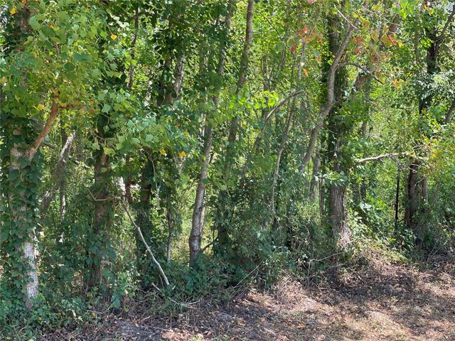 679 County Road 6031, Dayton, TX 77535