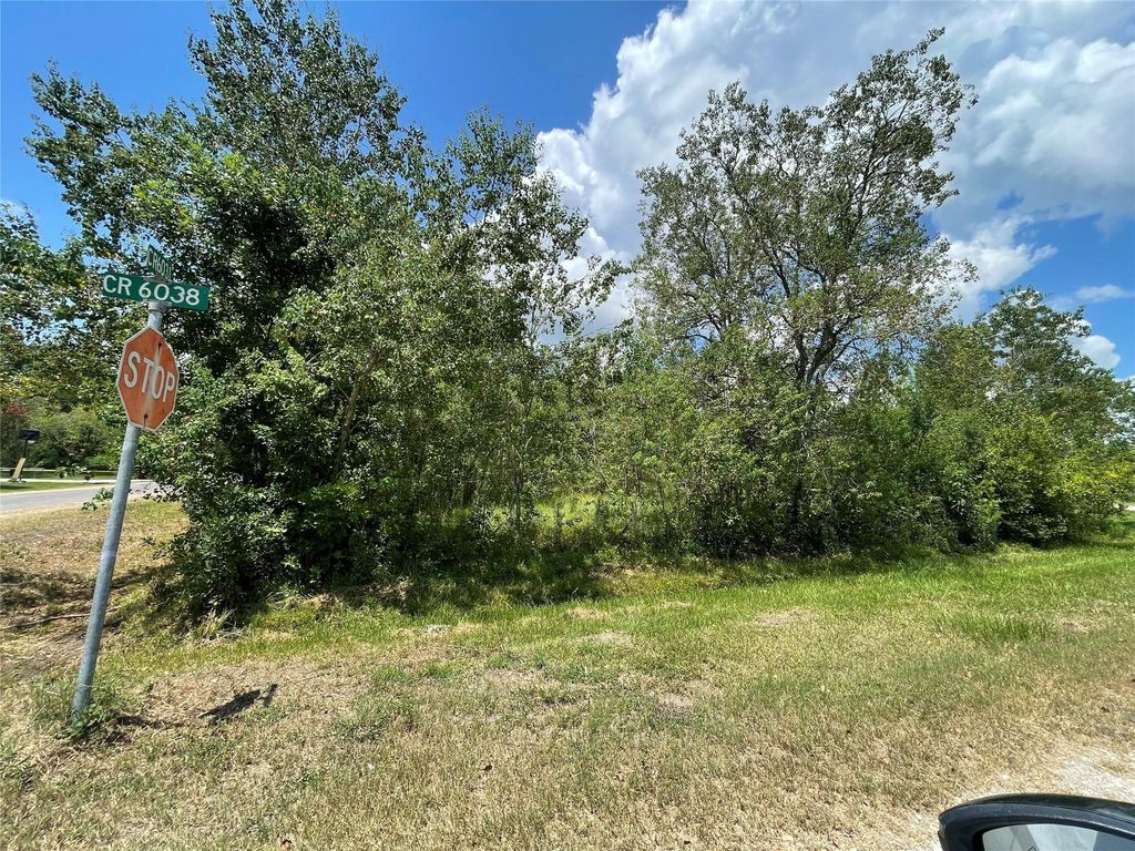 679 County Road 6031, Dayton, TX 77535