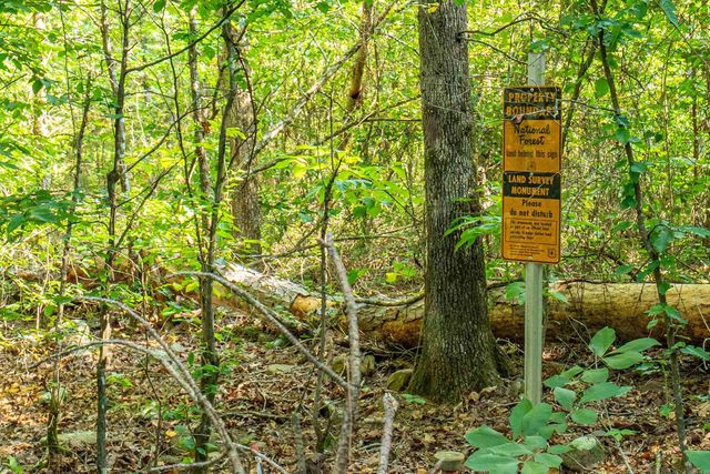 65 Raven Lane, Oden, AR 71961