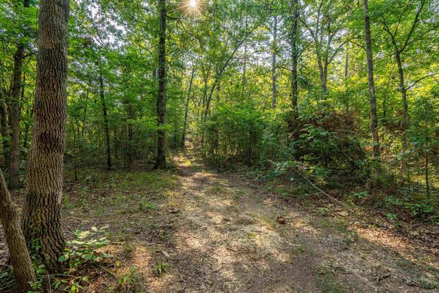 65 Raven Lane, Oden, AR 71961