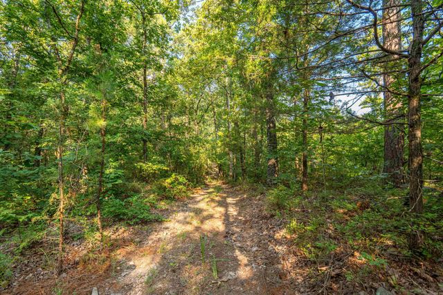 65 Raven Lane, Oden, AR 71961