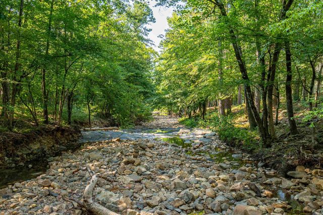 65 Raven Lane, Oden, AR 71961