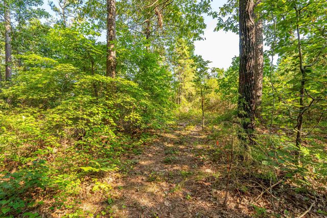 65 Raven Lane, Oden, AR 71961