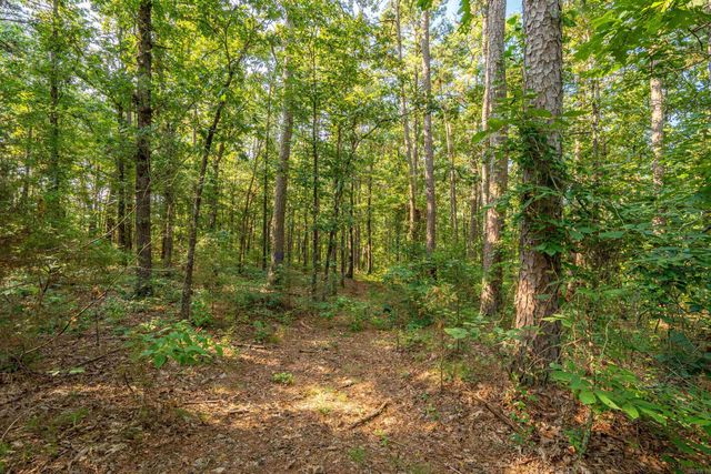 65 Raven Lane, Oden, AR 71961