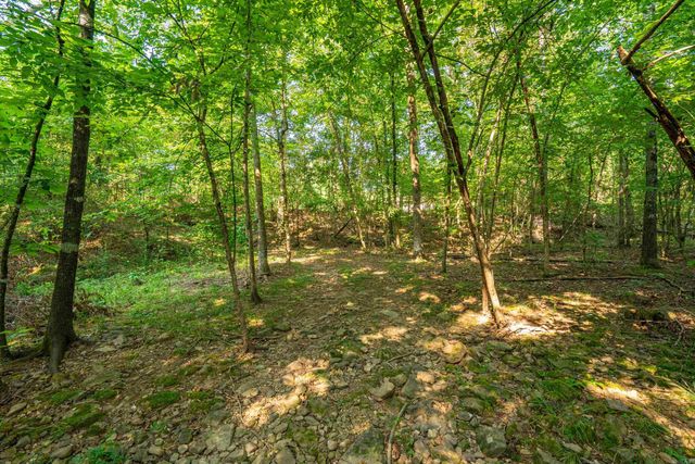 65 Raven Lane, Oden, AR 71961