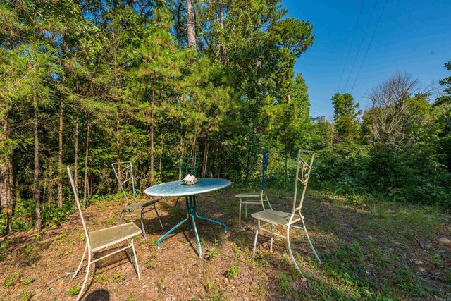 65 Raven Lane, Oden, AR 71961