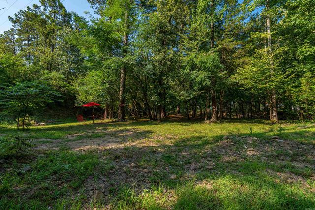 65 Raven Lane, Oden, AR 71961