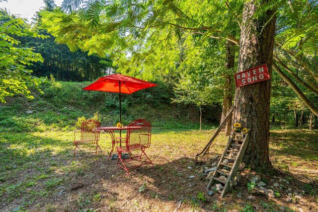 65 Raven Lane, Oden, AR 71961