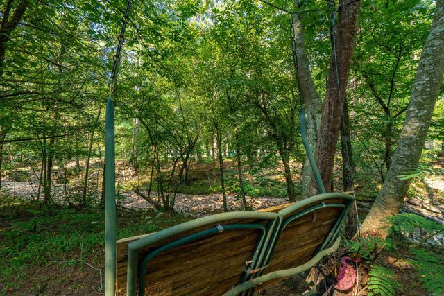 65 Raven Lane, Oden, AR 71961