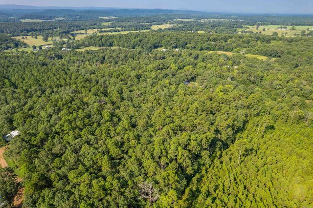 65 Raven Lane, Oden, AR 71961