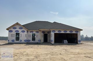 665 Doctor's Creek Road NE, Ludowici, GA 31316