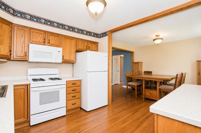 1359 E Dorothy Drive, Palatine, IL 60074